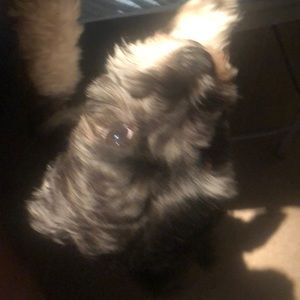 Meet your Posher, Rita